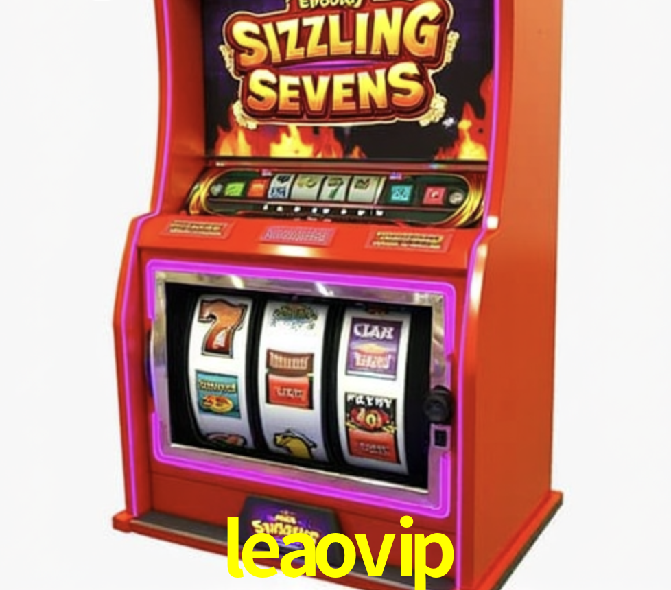 Security Systems leaovip